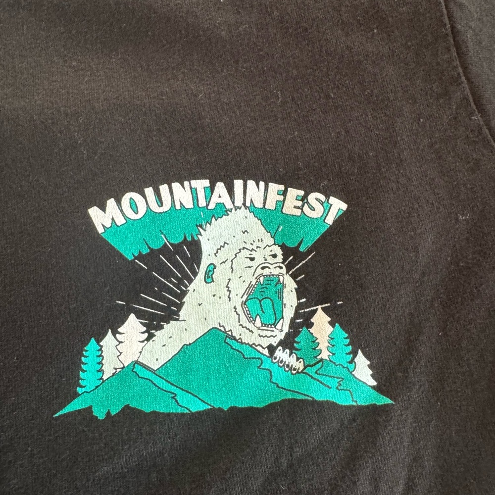 Mountainfest Graphic Tee